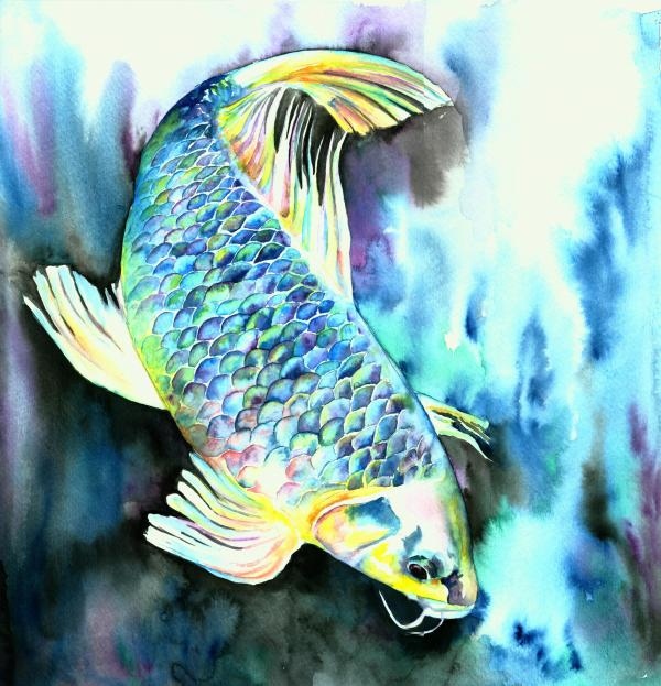 White-japanese-carp-christy-freeman