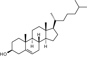 Cholesterol