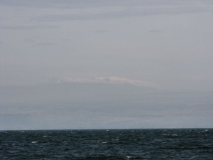 18-01-2011 утро - 016