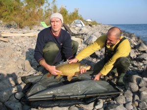 20-01-2011, утро - 004