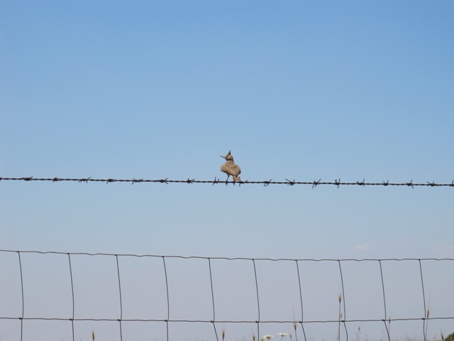 Img 4502