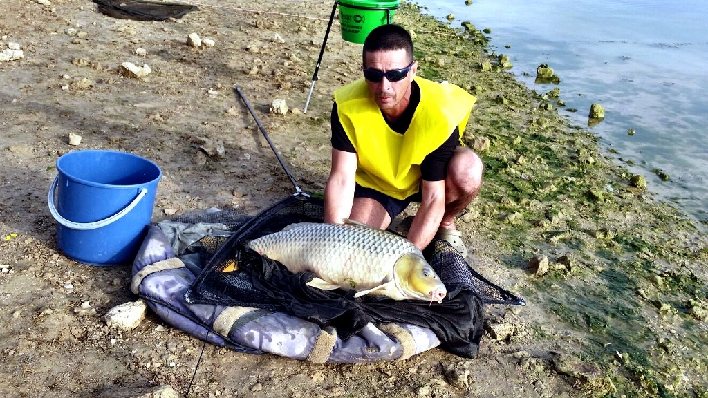  24,  ,   