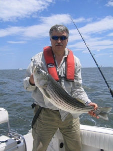 Memorial Day Striped Bass