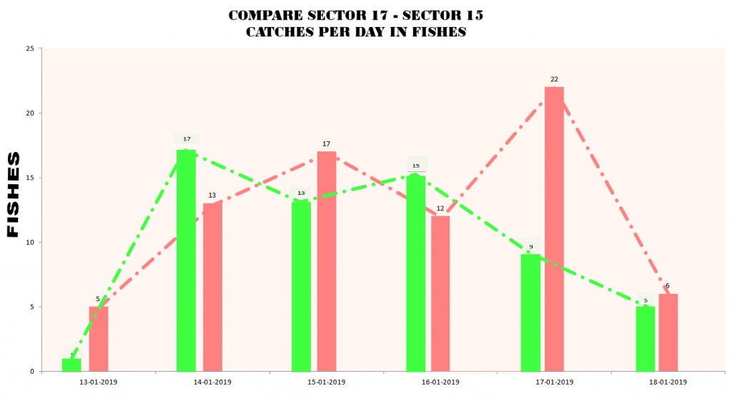 SECTOR 15-17 - CATCHES PER DAY FISHES