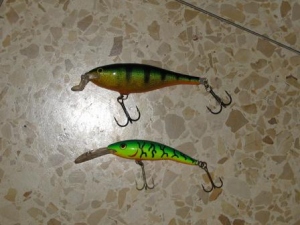 rapala