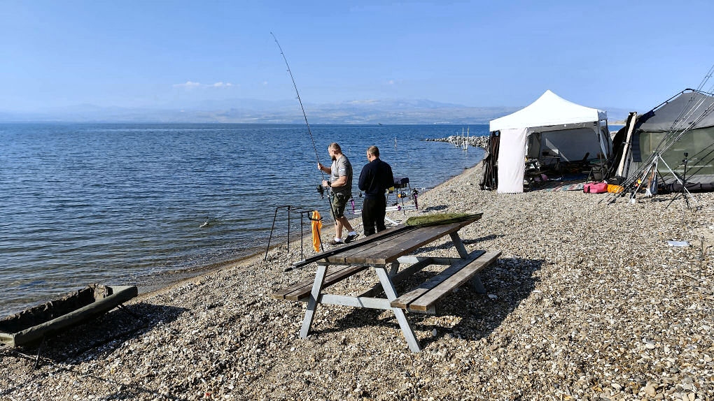 19-01-2025 Carp of Galilee 2025 14.23.59