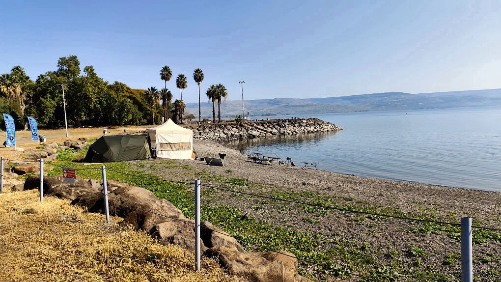 19-01-2025 Carp of Galilee 2025 14.24.01 1