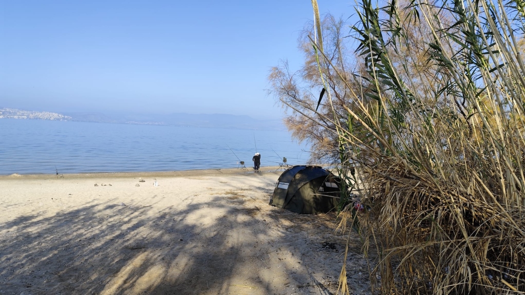 19-01-2025 Carp of Galilee 2025 14.24.11 1