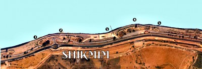 shikmim 1-5.jpg