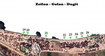 zeilon-duga 22-02-2022 1.jpg